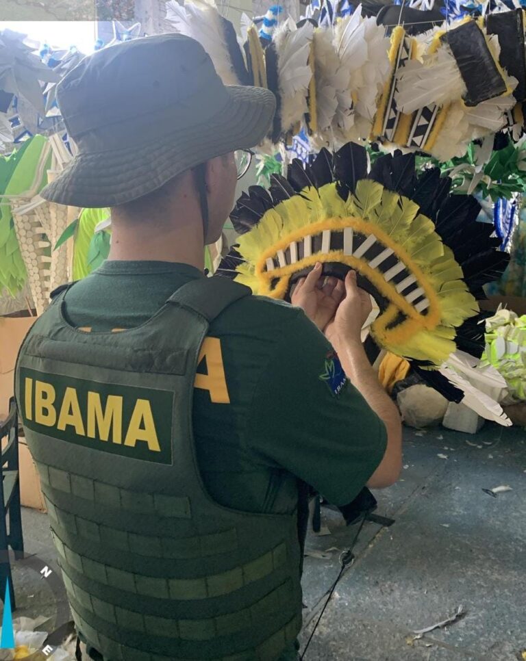 Ibama realiza vistoria nas fantasias dos bois Garantido e Caprichoso