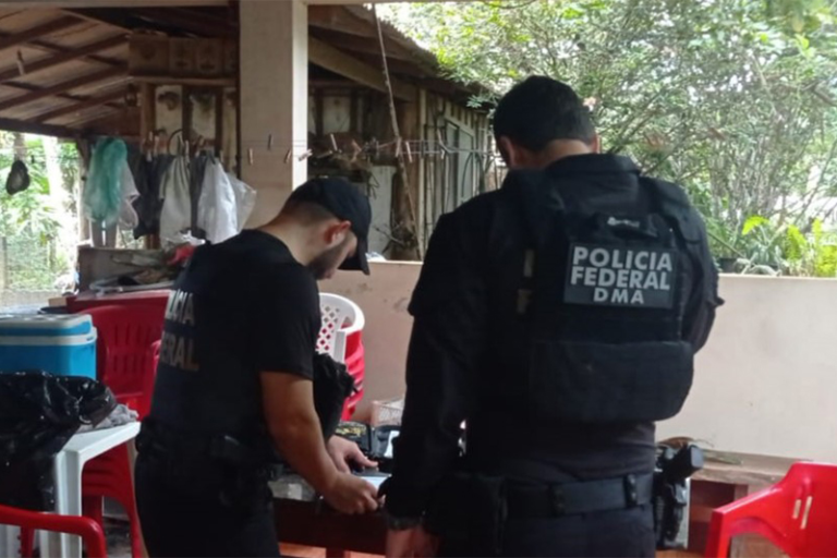 PF e Ibama prende suspeito de esquema de desmatamento e lavagem de dinheiro no Amazonas