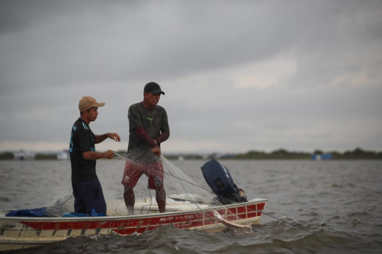 Está liberado a pesca de oito espécie de peixes após o fim do período de defeso