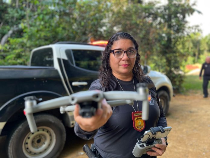 Crimes contra fauna e flora são investigados com apoio da perícia ambiental